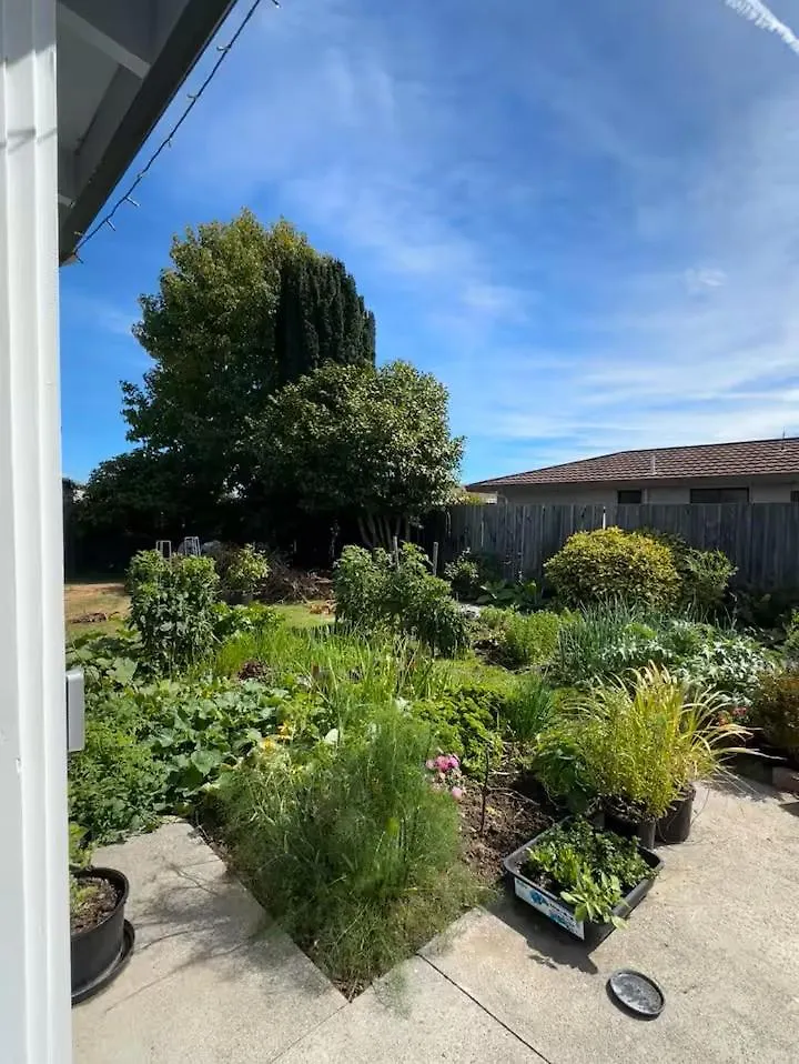 Homestay Hammersley Homestead Christchurch